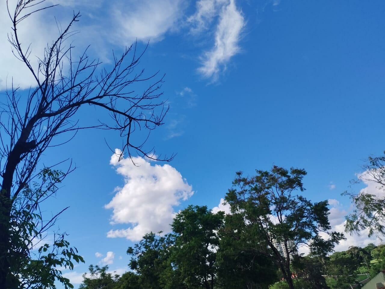 Imagem de compartilhamento para o artigo Dia será de sol, pancadas de chuva e muito calor em Chapadão do Sul da MS Todo dia